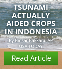 Tsunami actually aided crops in Indonesia